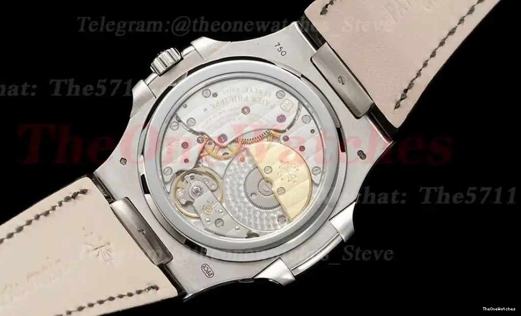 Super 5724 Stk Nautilus Clone Dia 40mm Grey PPF SS A240 LE 0308