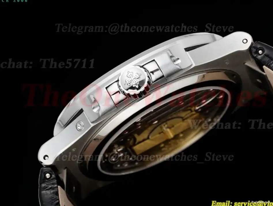 Super 5724 Stk Nautilus Clone Dia 40mm Grey PPF SS A240 LE 0308